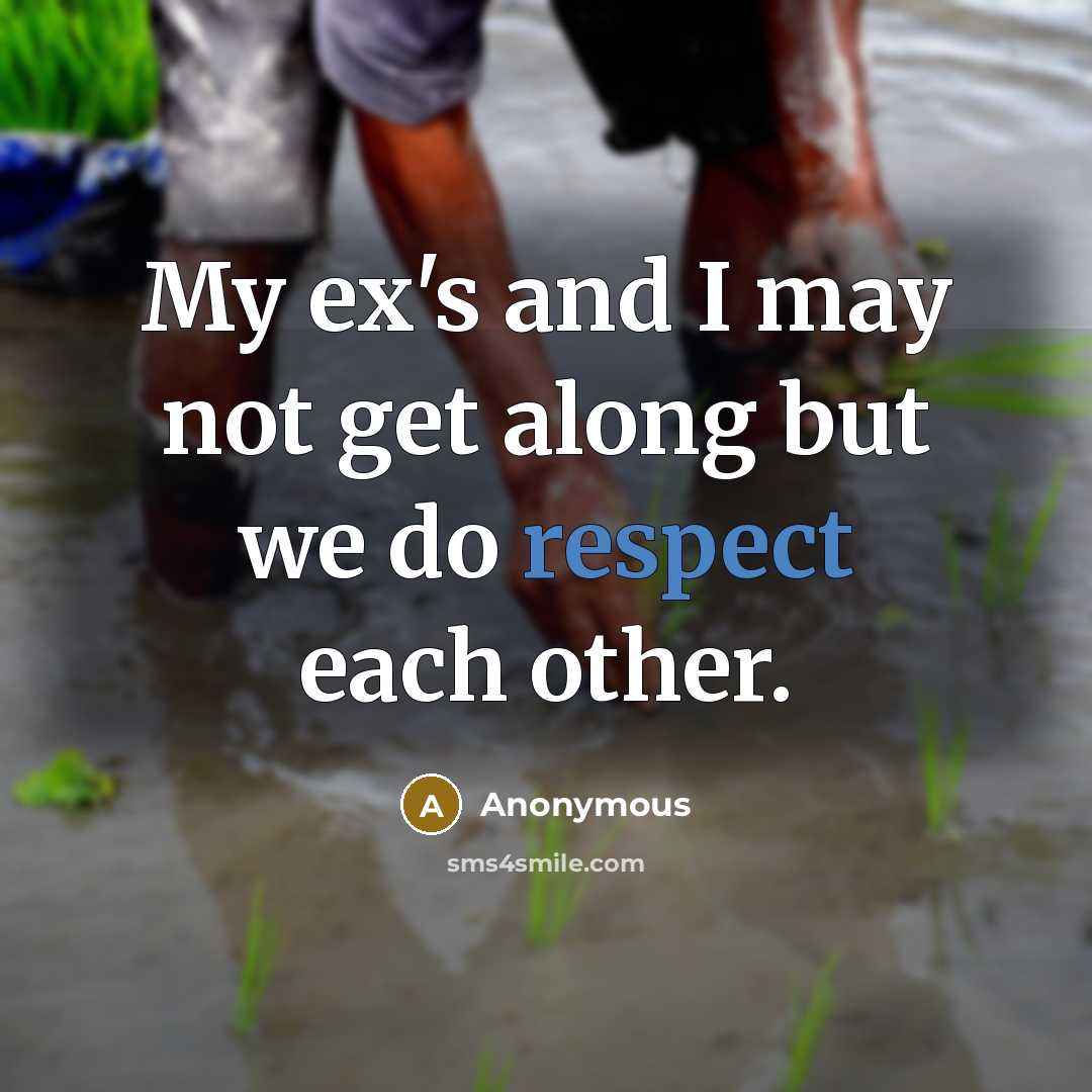 “My ex's and I may not get along but we do respect each other.” quote by Anonymous