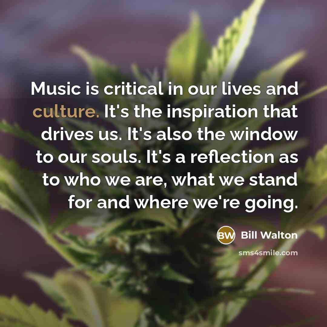 “Music is critical in our lives and culture. It's the…” quote by Bill Walton