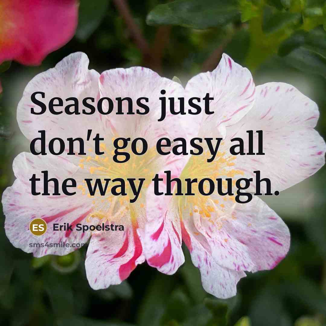 “Seasons just don't go easy all the way through.…” quote by Erik Spoelstra