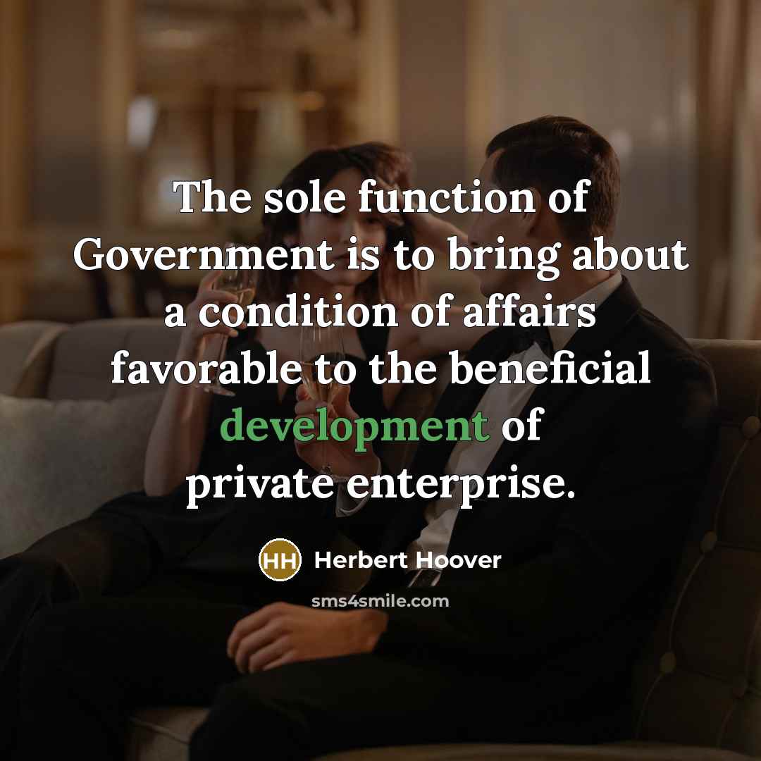 “The sole function of Government is to bring about a…” quote by Herbert Hoover