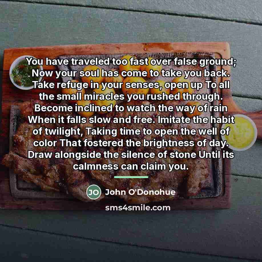 “You have traveled too fast over false ground; Now your…” quote by John O'Donohue