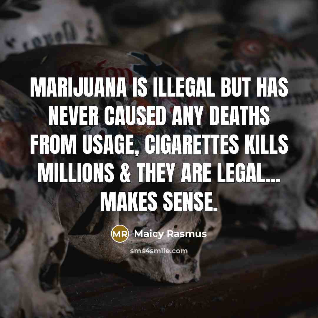 “Marijuana is illegal but has never caused any deaths from…” quote by Maicy Rasmus