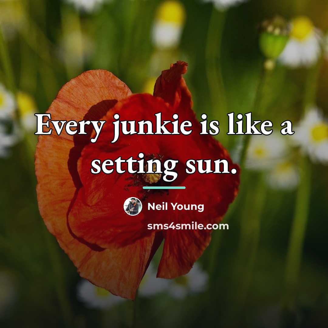 “Every junkie is like a setting sun.…” quote by Neil Young