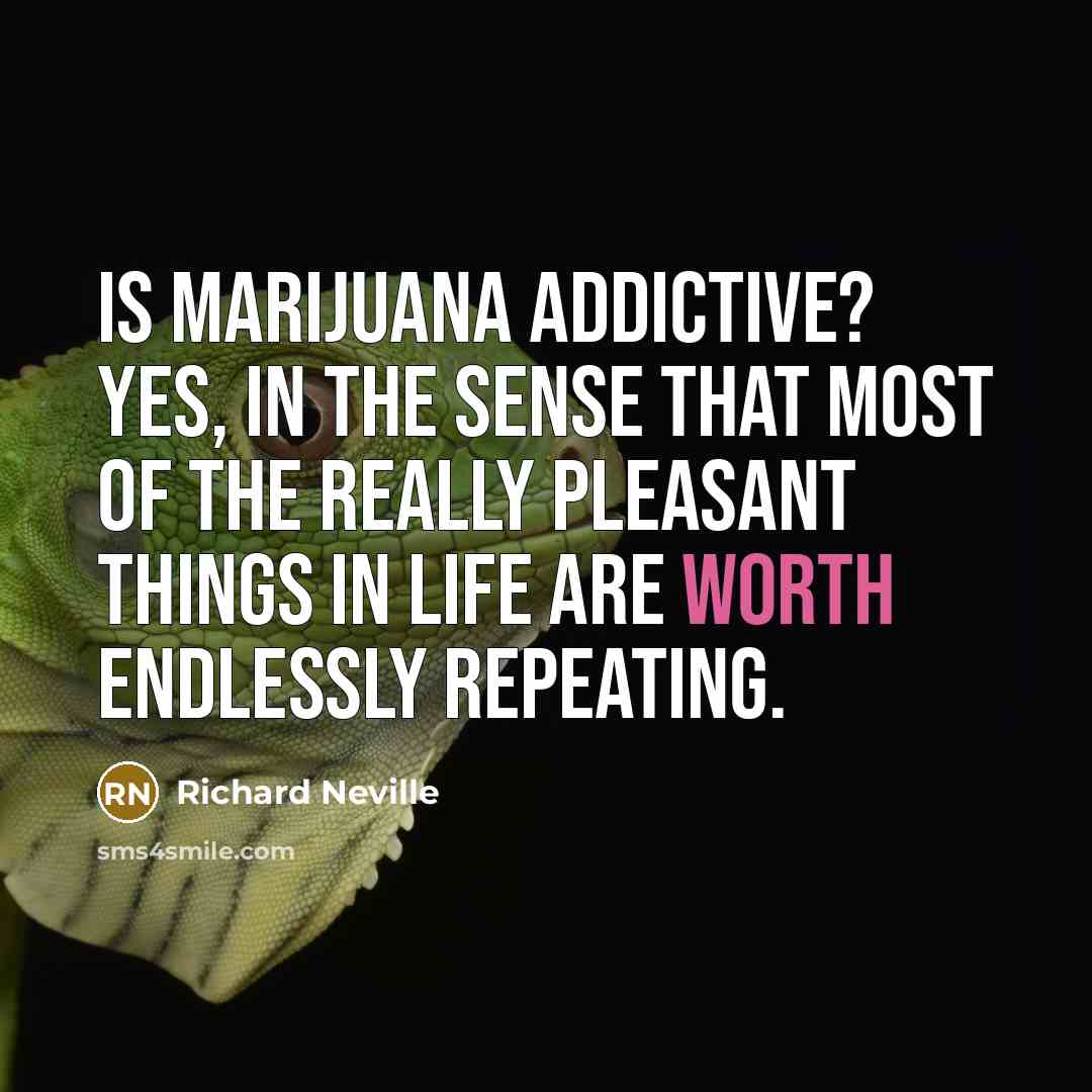 “Is marijuana addictive? Yes, in the sense that most of the really pleasant things in life are worth endlessly repeating.” quote by Richard Neville