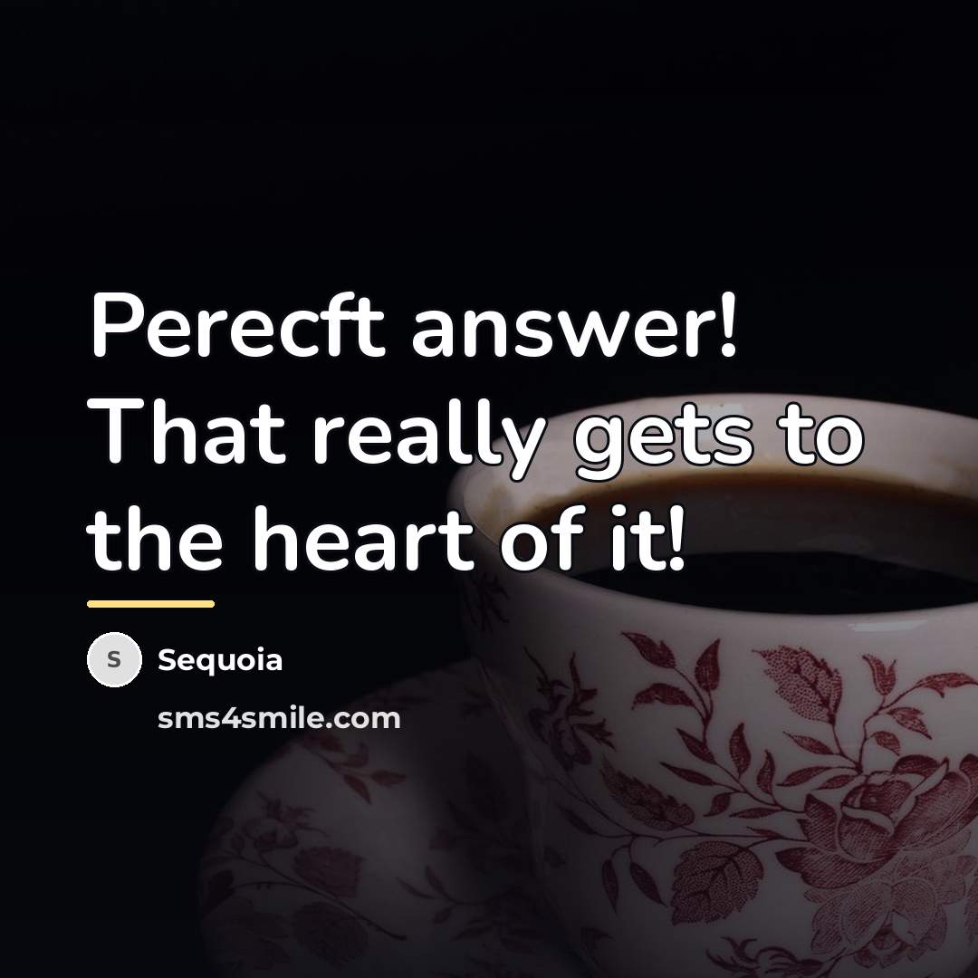 “Perecft answer! That really gets to the heart of it!…” quote by Sequoia