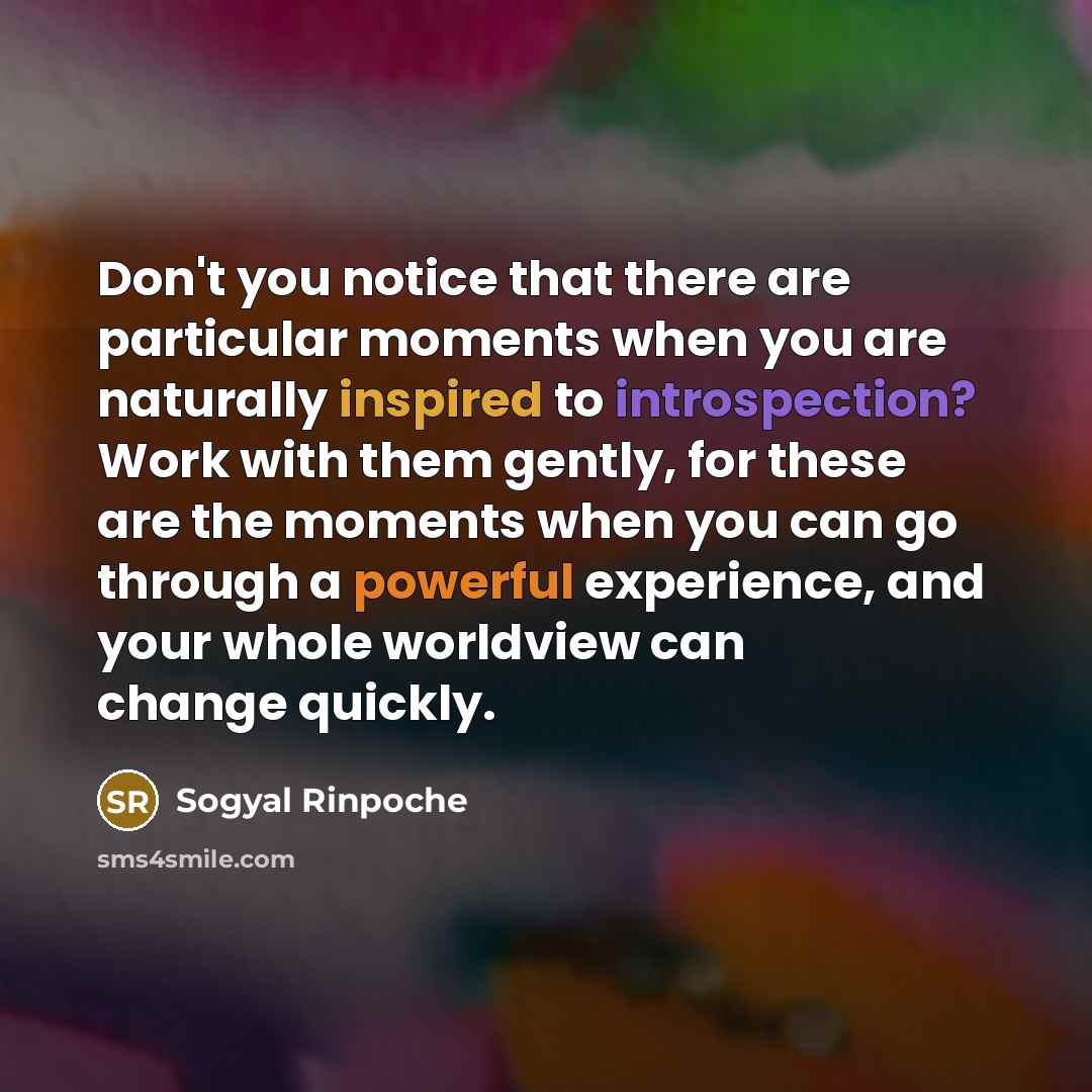 “Don't you notice that there are particular moments when you…” quote by Sogyal Rinpoche