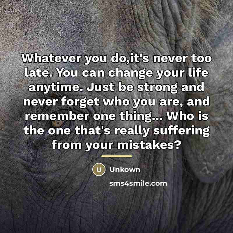 “Whatever you do,it's never too late. You can change your…” quote by Unkown