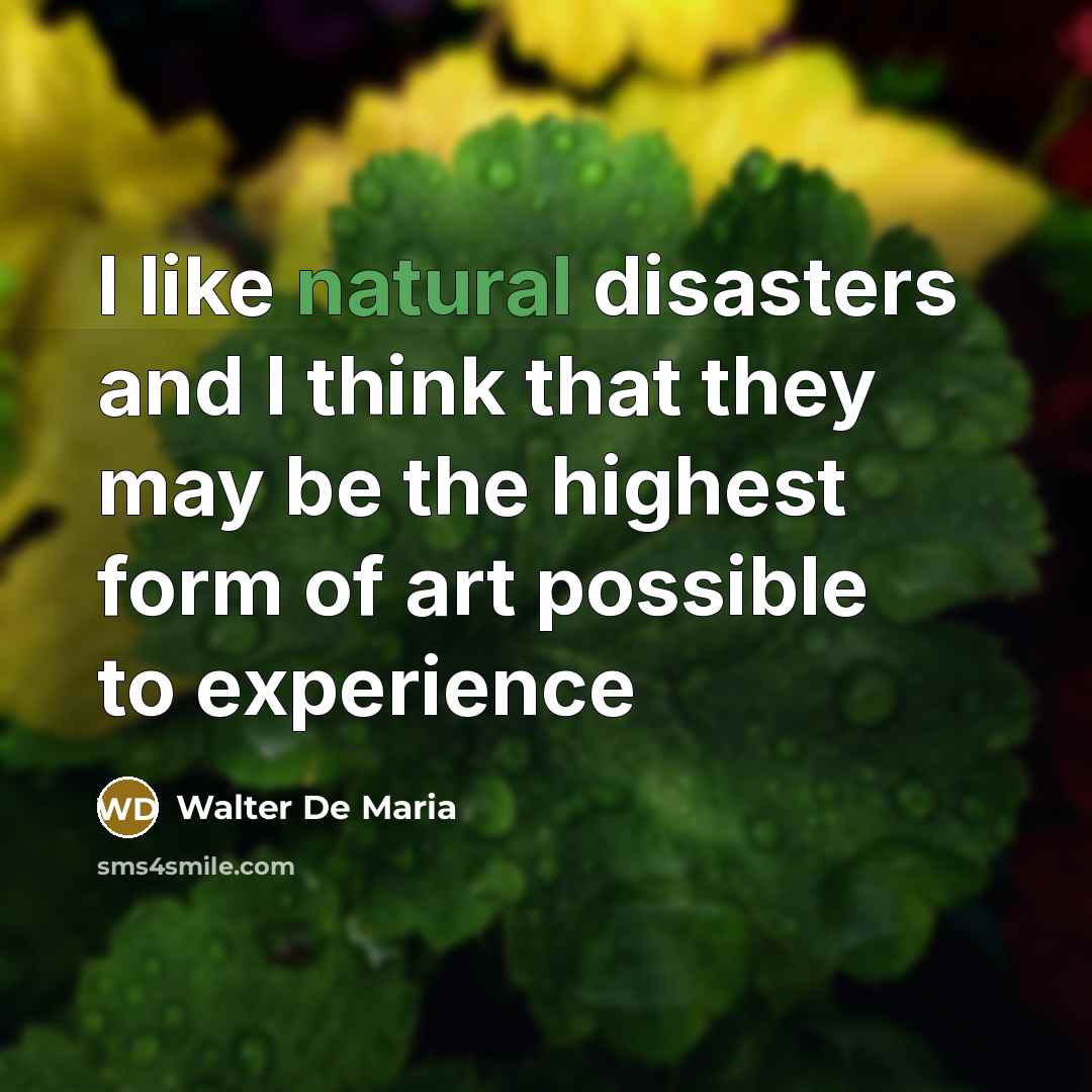 “I like natural disasters and I think that they may…” quote by Walter De Maria