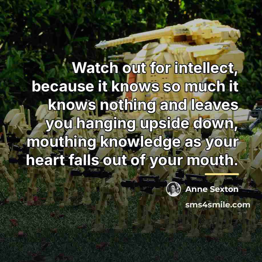 “Watch out for intellect, because it knows so much it…” quote by Anne Sexton