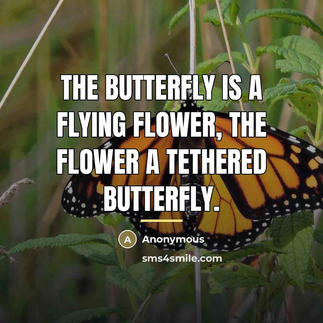 “The butterfly is a flying flower, The flower a tethered…” quote by Ponce Denis Écouchard Le Brun