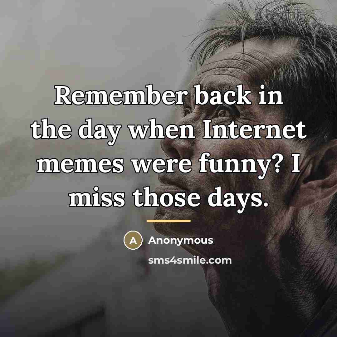“Remember back in the day when Internet memes were funny?…” quote by Anonymous