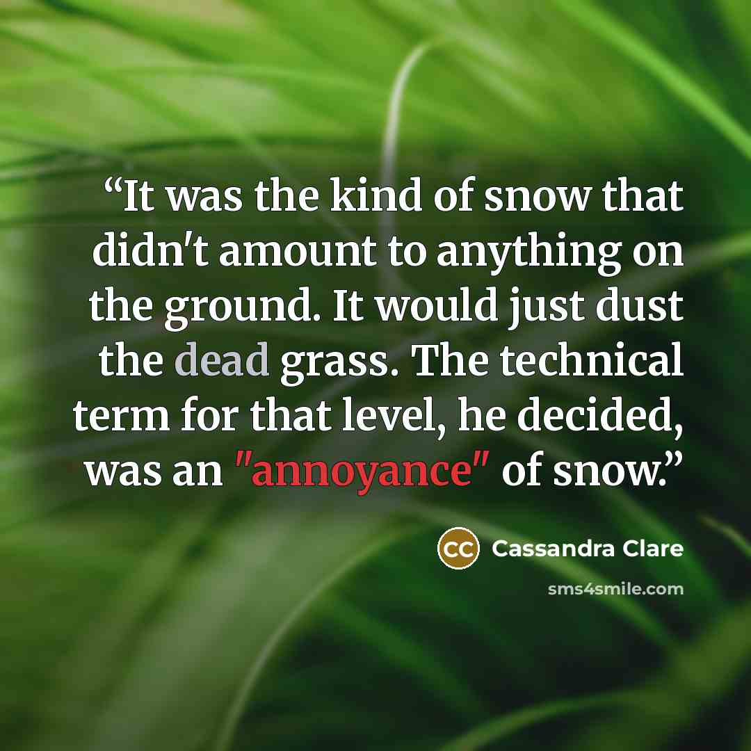“It was the kind of snow that didn't amount to anything on the ground. It would just dust the dead grass. The technical term for that level, he decided, was an "annoyance" of snow.” quote by Cassandra Clare
