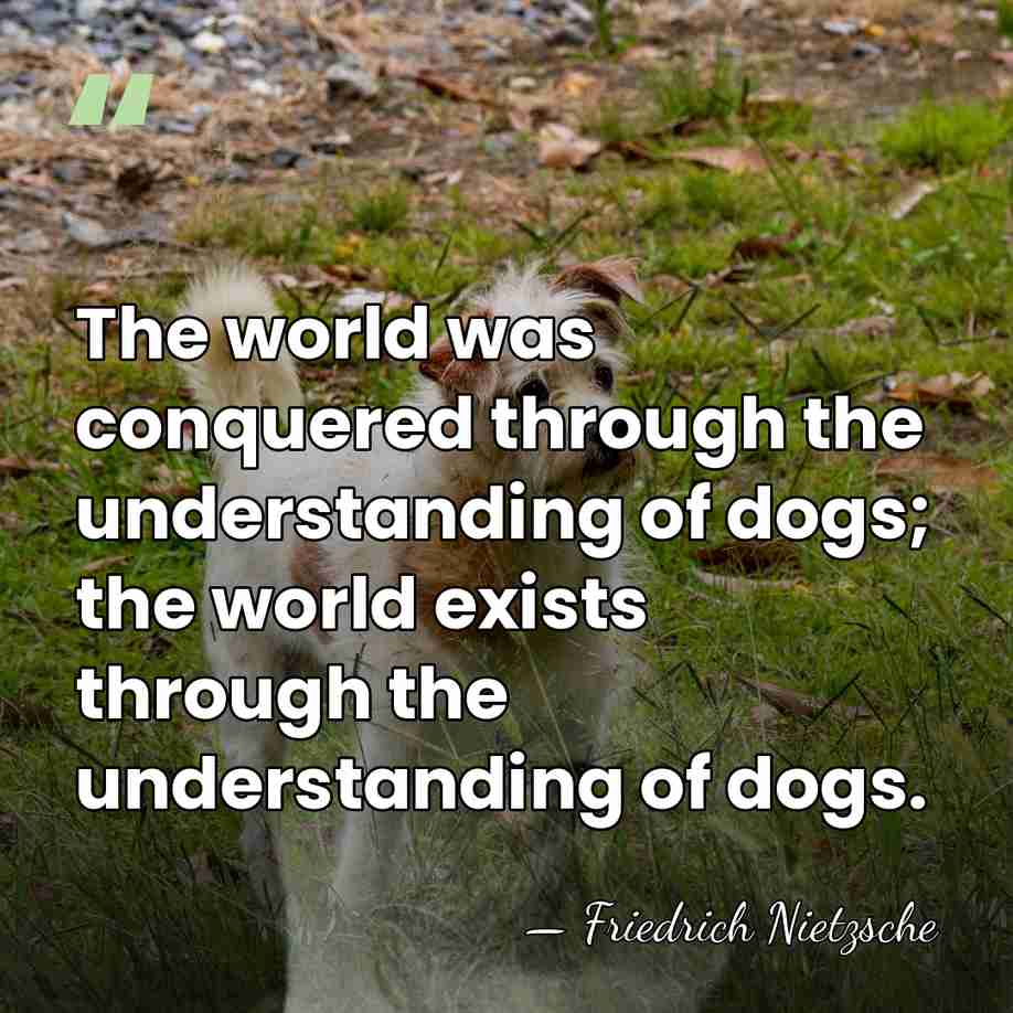 The world was conquered through the understanding of dogs; the world exists&hellip; - Friedrich Nietzsche