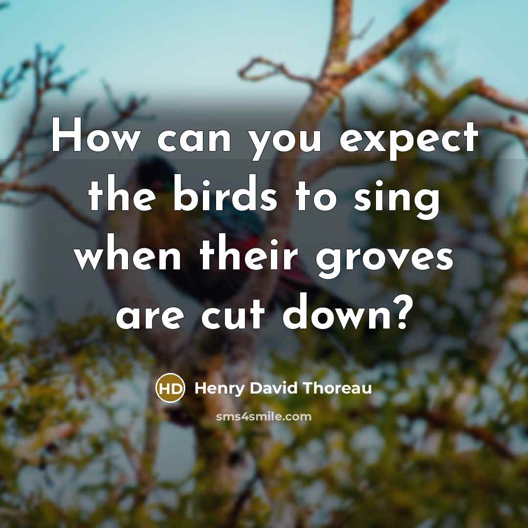 “How can you expect the birds to sing when their…” quote by Henry David Thoreau