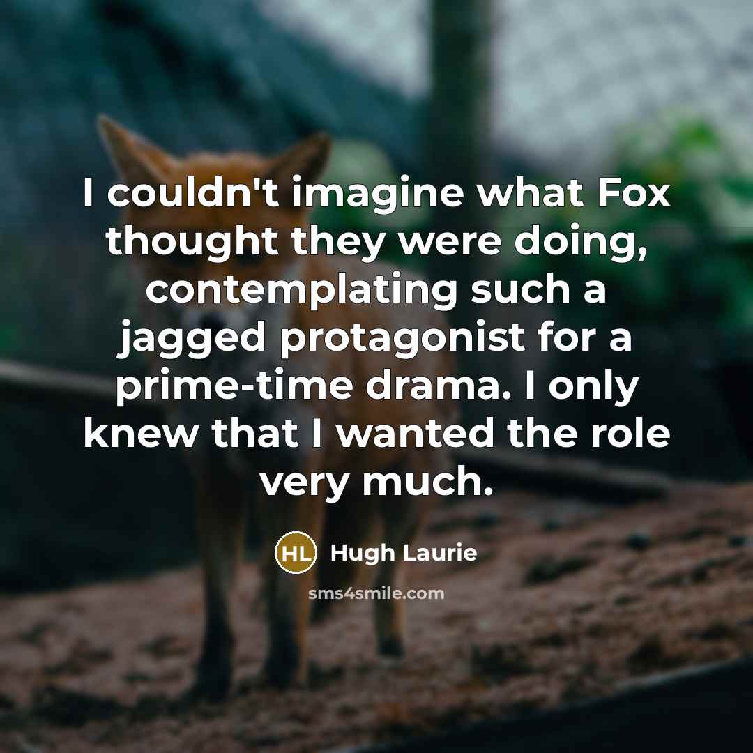 “I couldn't imagine what Fox thought they were doing, contemplating…” quote by Hugh Laurie