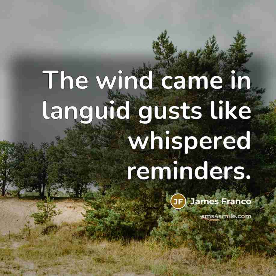 “The wind came in languid gusts like whispered reminders.…” quote by James Franco