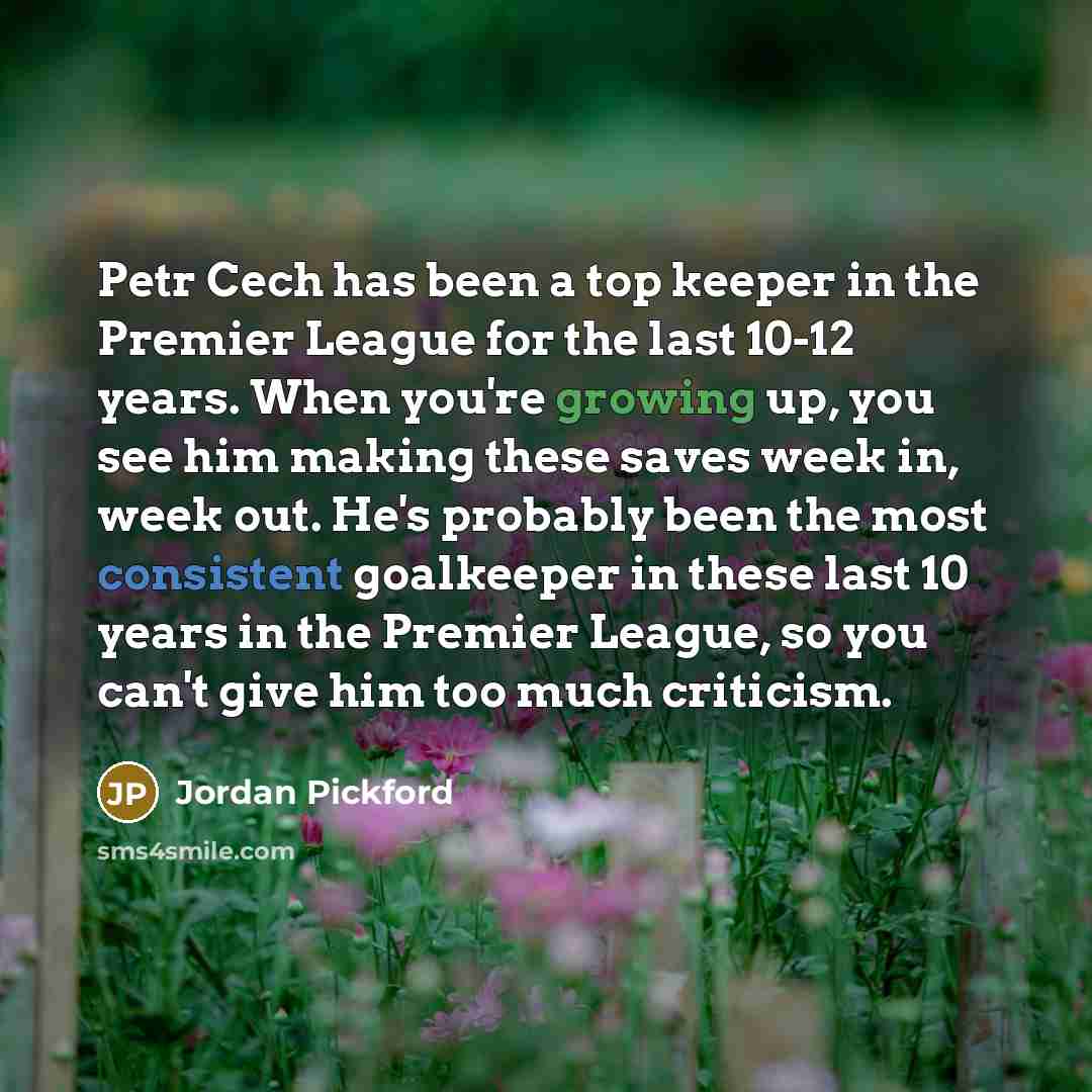 “Petr Cech has been a top keeper in the Premier…” quote by Jordan Pickford