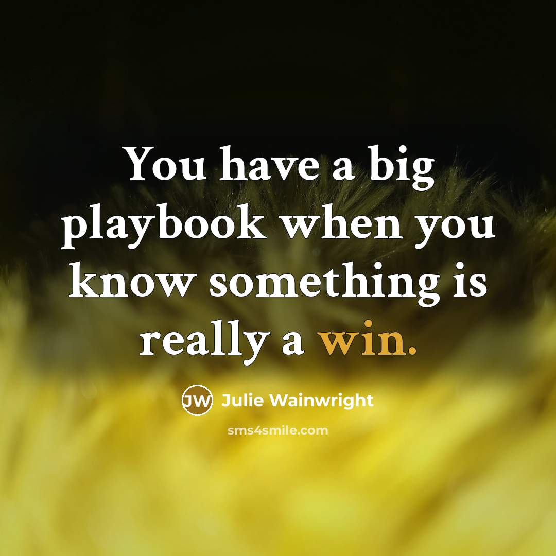 “You have a big playbook when you know something is…” quote by Julie Wainwright