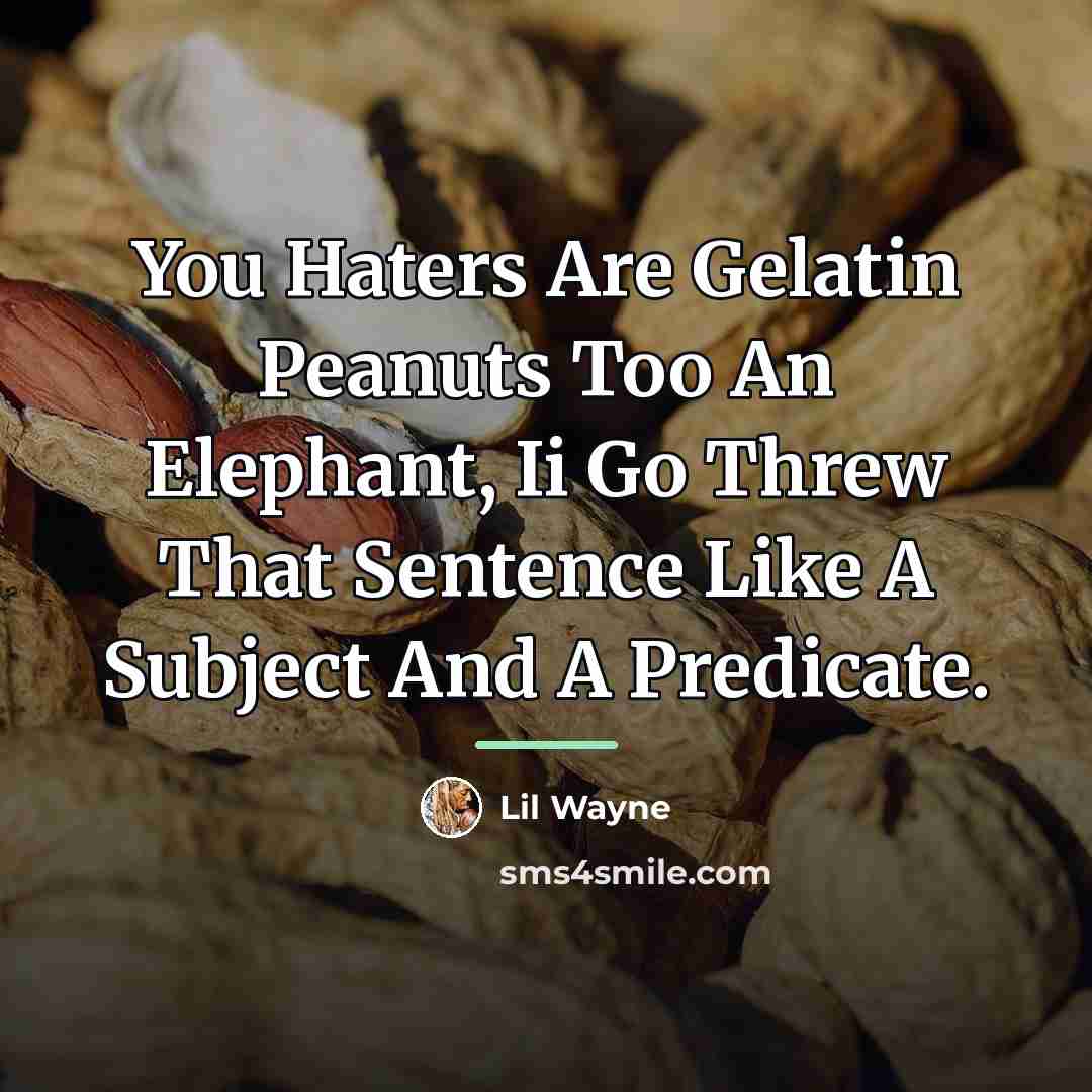 “You Haters Are Gelatin Peanuts Too An Elephant, Ii Go…” quote by Lil Wayne