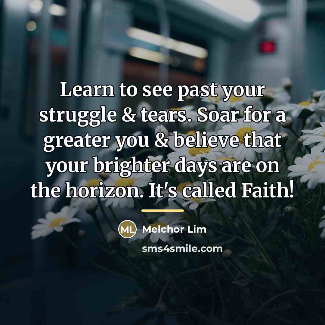 “Learn to see past your struggle & tears. Soar for…” quote by Melchor Lim