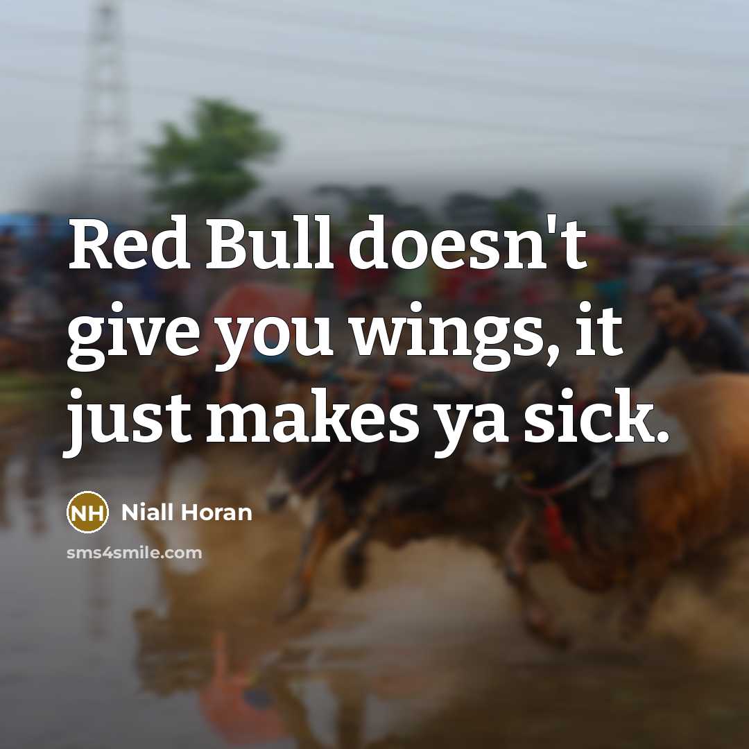“Red Bull doesn't give you wings, it just makes ya…” quote by Niall Horan