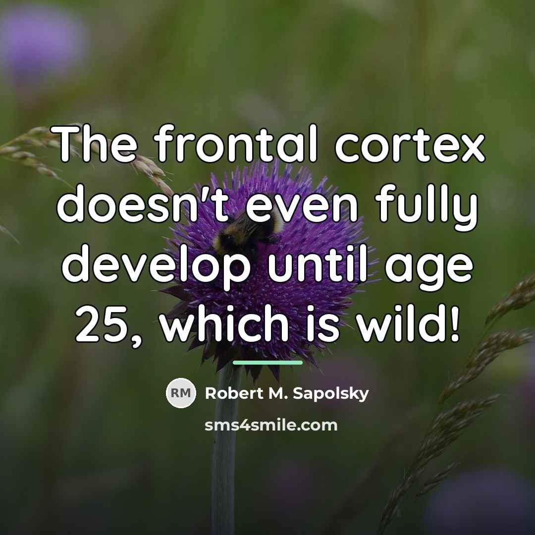 “The frontal cortex doesn't even fully develop until age 25,…” quote by Robert M. Sapolsky