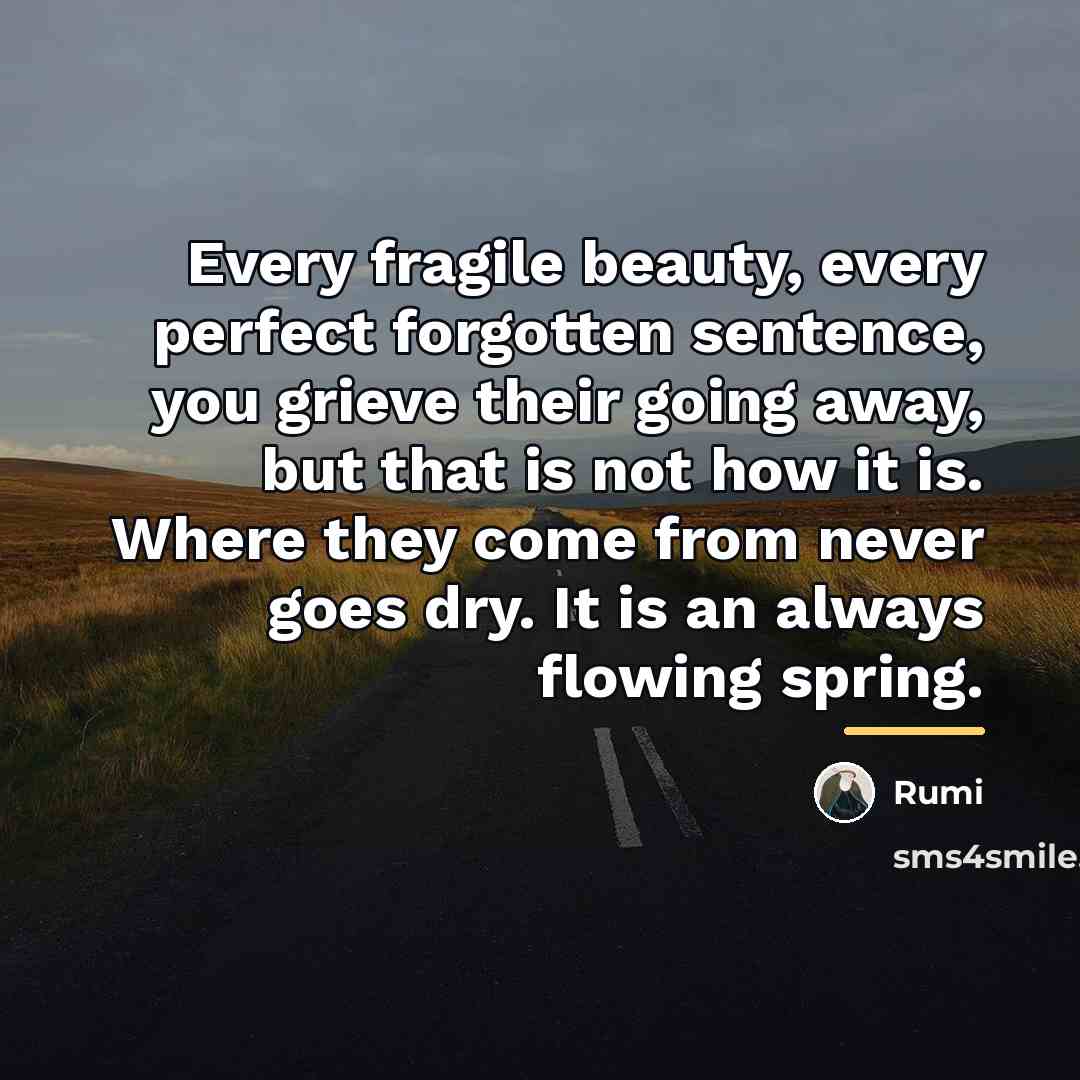 “Every fragile beauty, every perfect forgotten sentence, you grieve their…” quote by Rumi