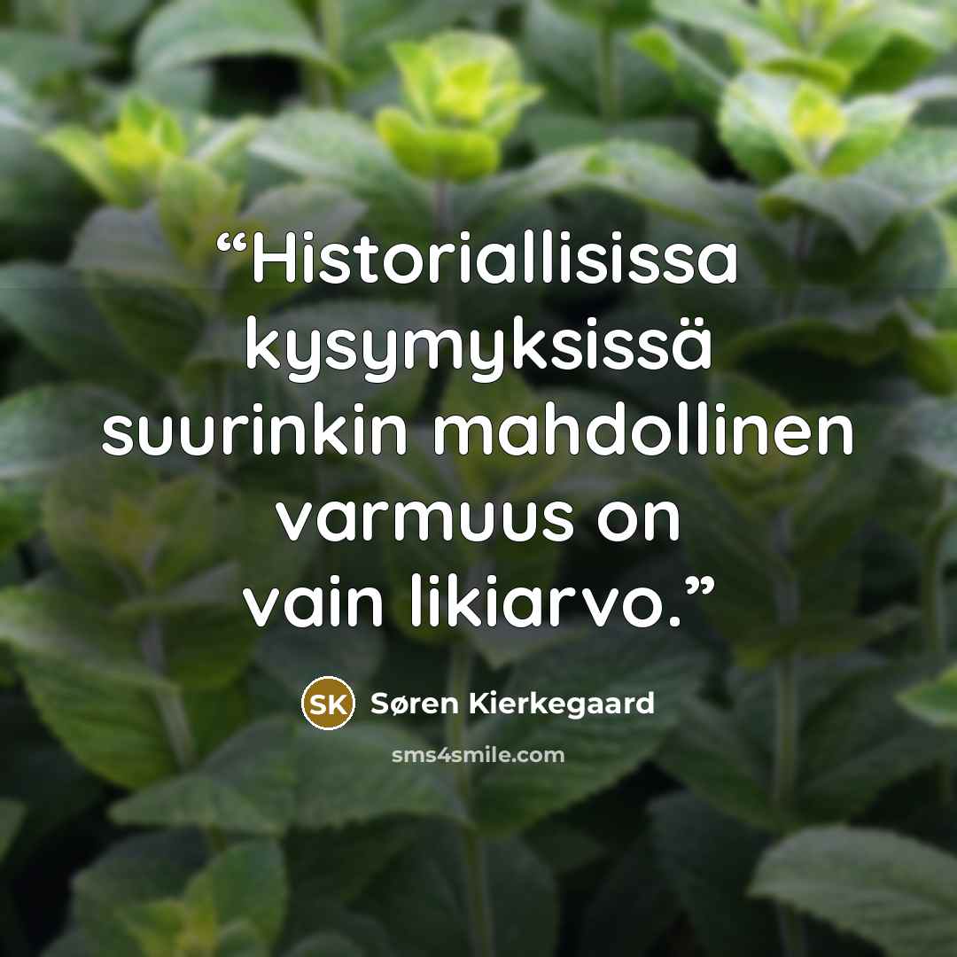 “Historiallisissa kysymyksissä suurinkin mahdollinen varmuus on vain likiarvo.” quote by Søren Kierkegaard