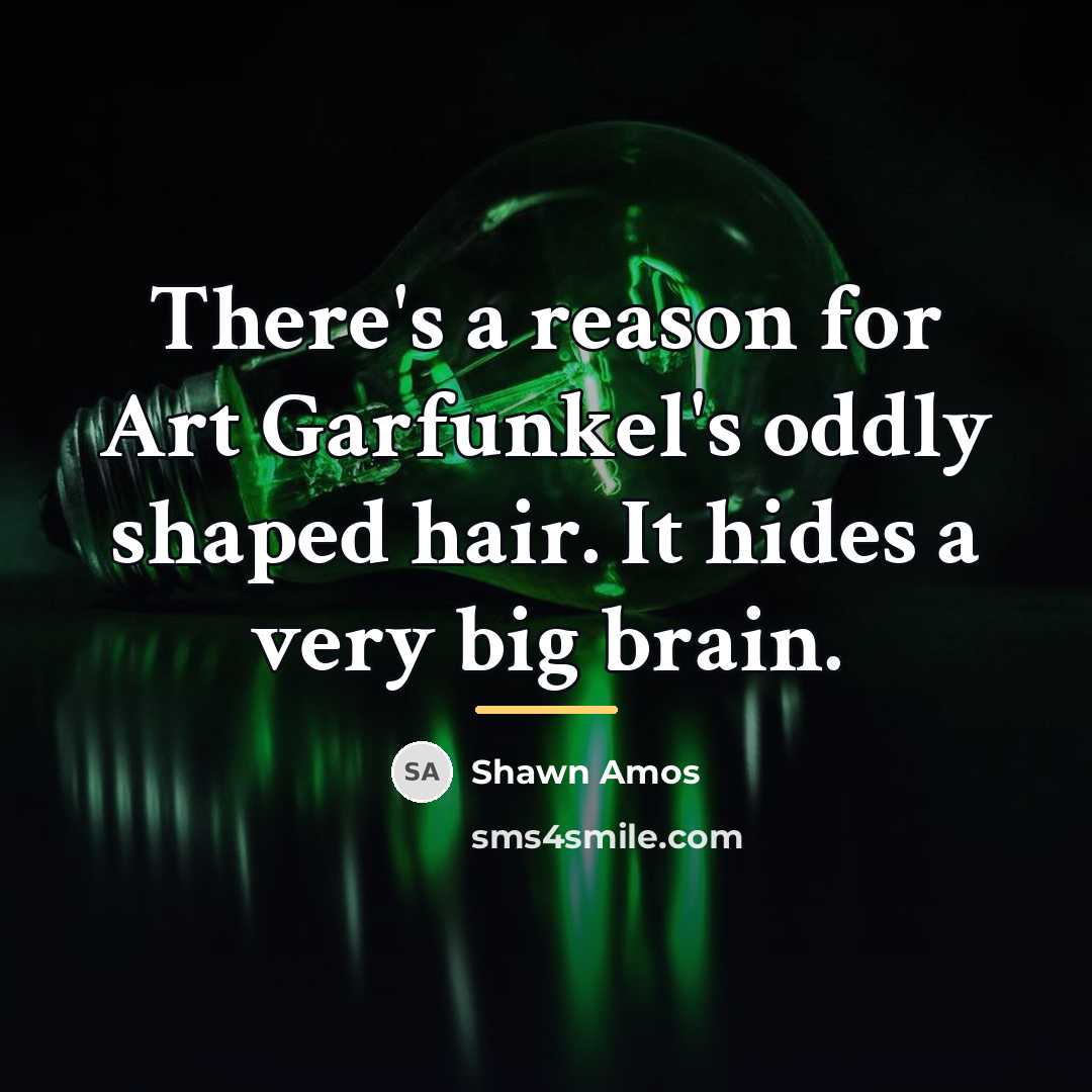 “There's a reason for Art Garfunkel's oddly shaped hair. It…” quote by Shawn Amos
