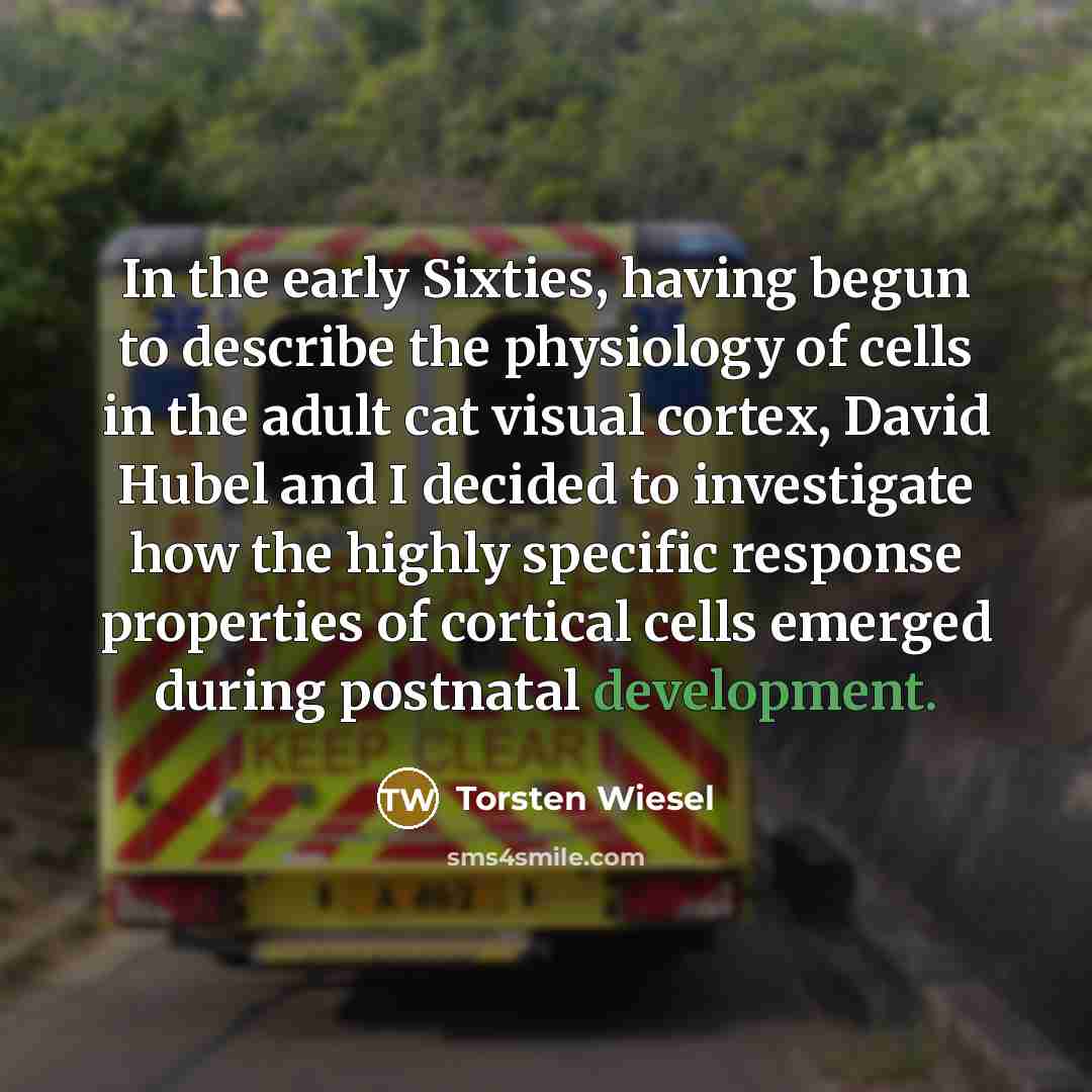 “In the early Sixties, having begun to describe the physiology…” quote by Torsten Wiesel