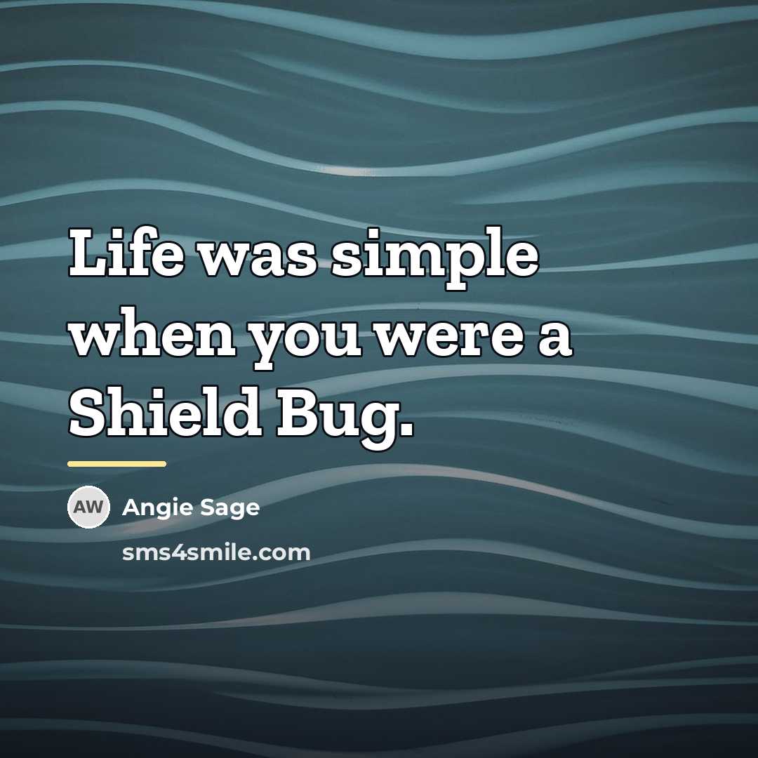 “Life was simple when you were a Shield Bug.…” quote by Angie Sage