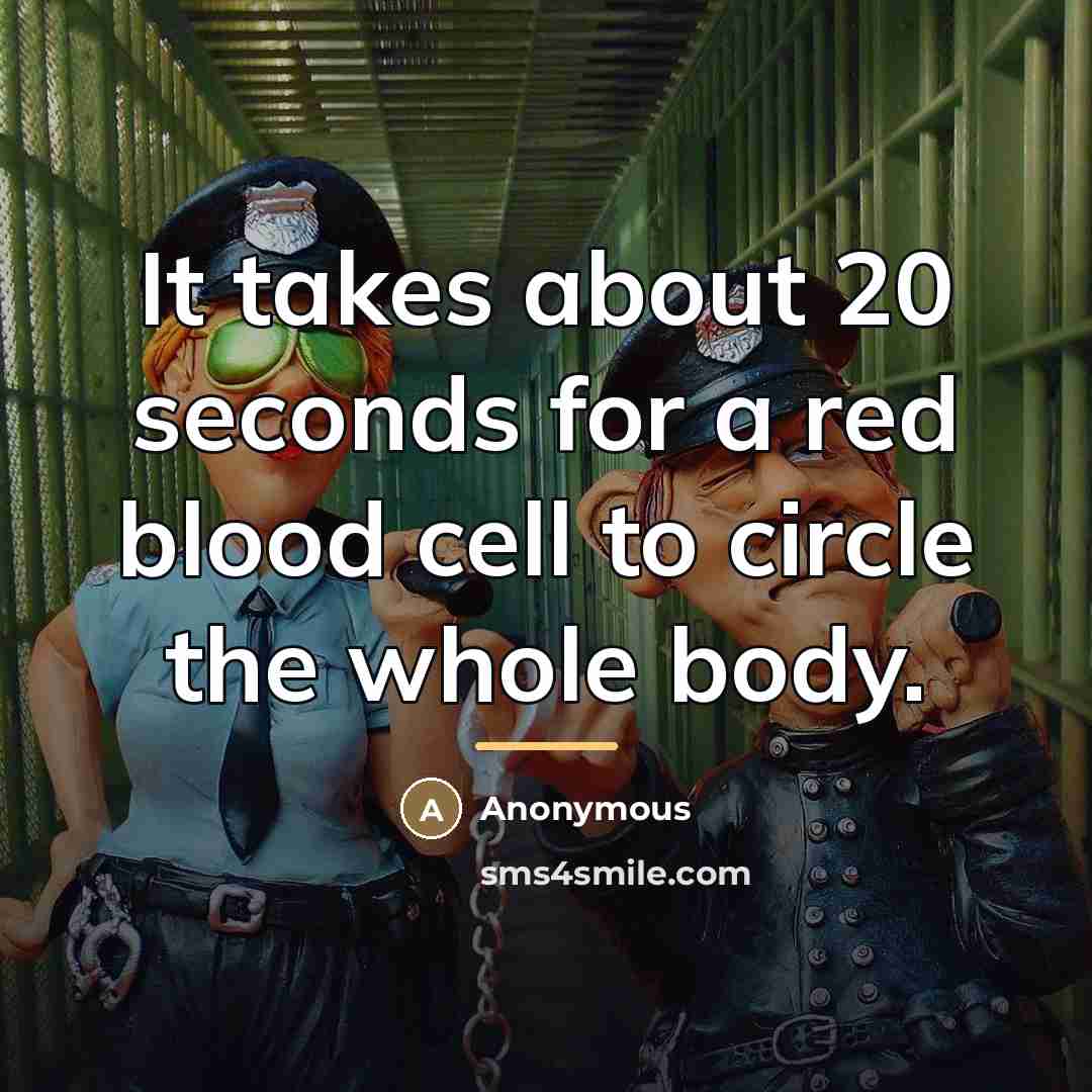 “It takes about 20 seconds for a red blood cell…” quote by Anonymous