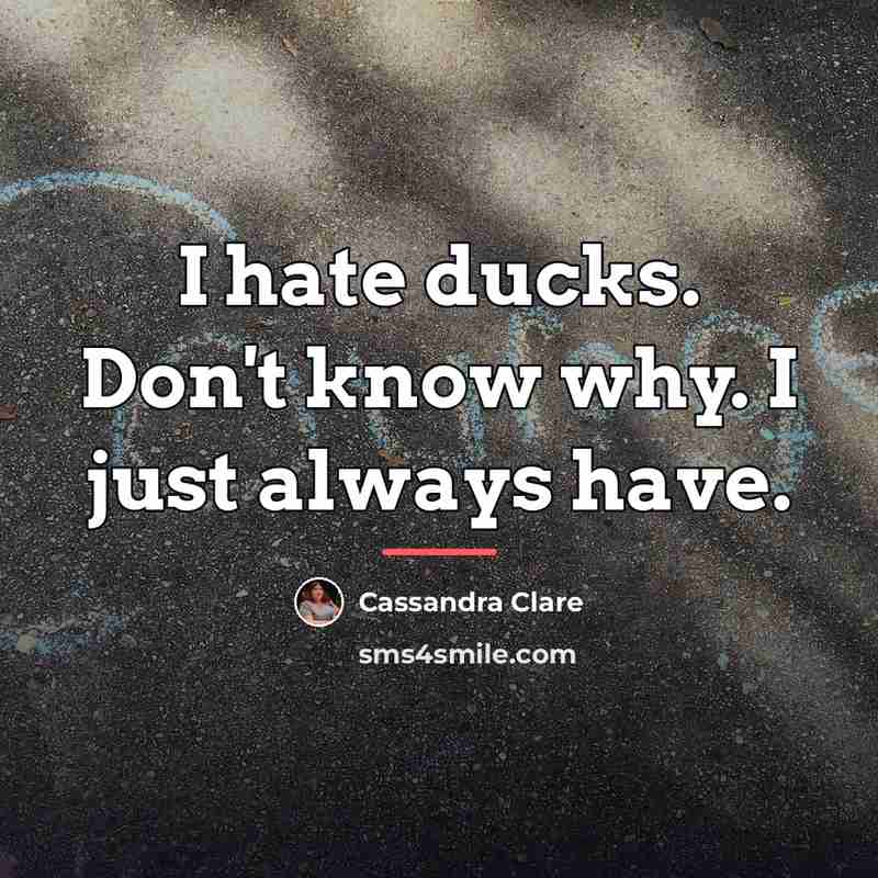 “I hate ducks. Don't know why. I just always have.…” quote by Cassandra Clare