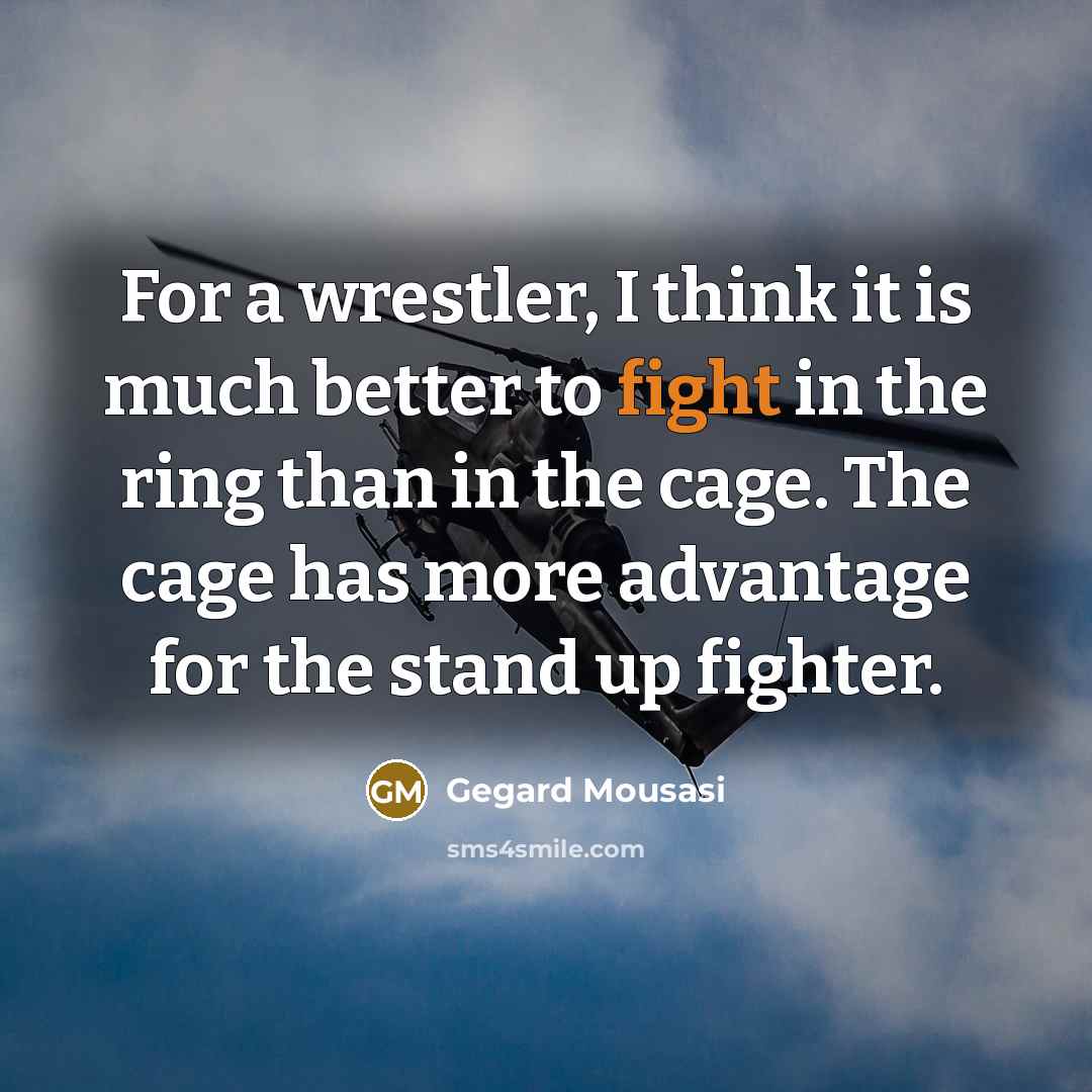 “For a wrestler, I think it is much better to…” quote by Gegard Mousasi