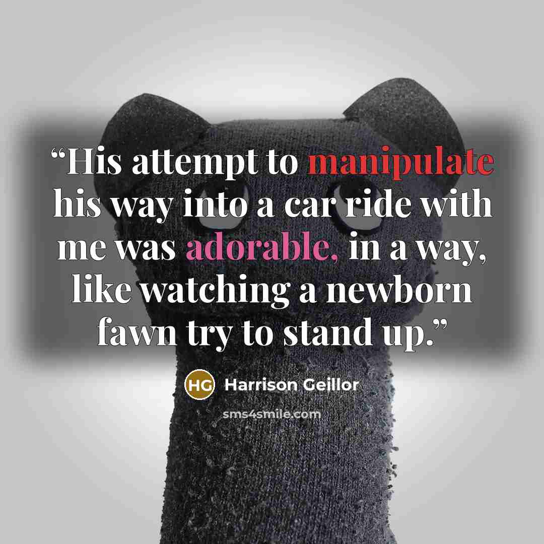 “His attempt to manipulate his way into a car ride with me was adorable, in a way, like watching a newborn fawn try to stand up.” quote by Harrison Geillor