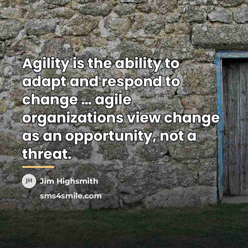“Agility is the ability to adapt and respond to change…” quote by Jim Highsmith