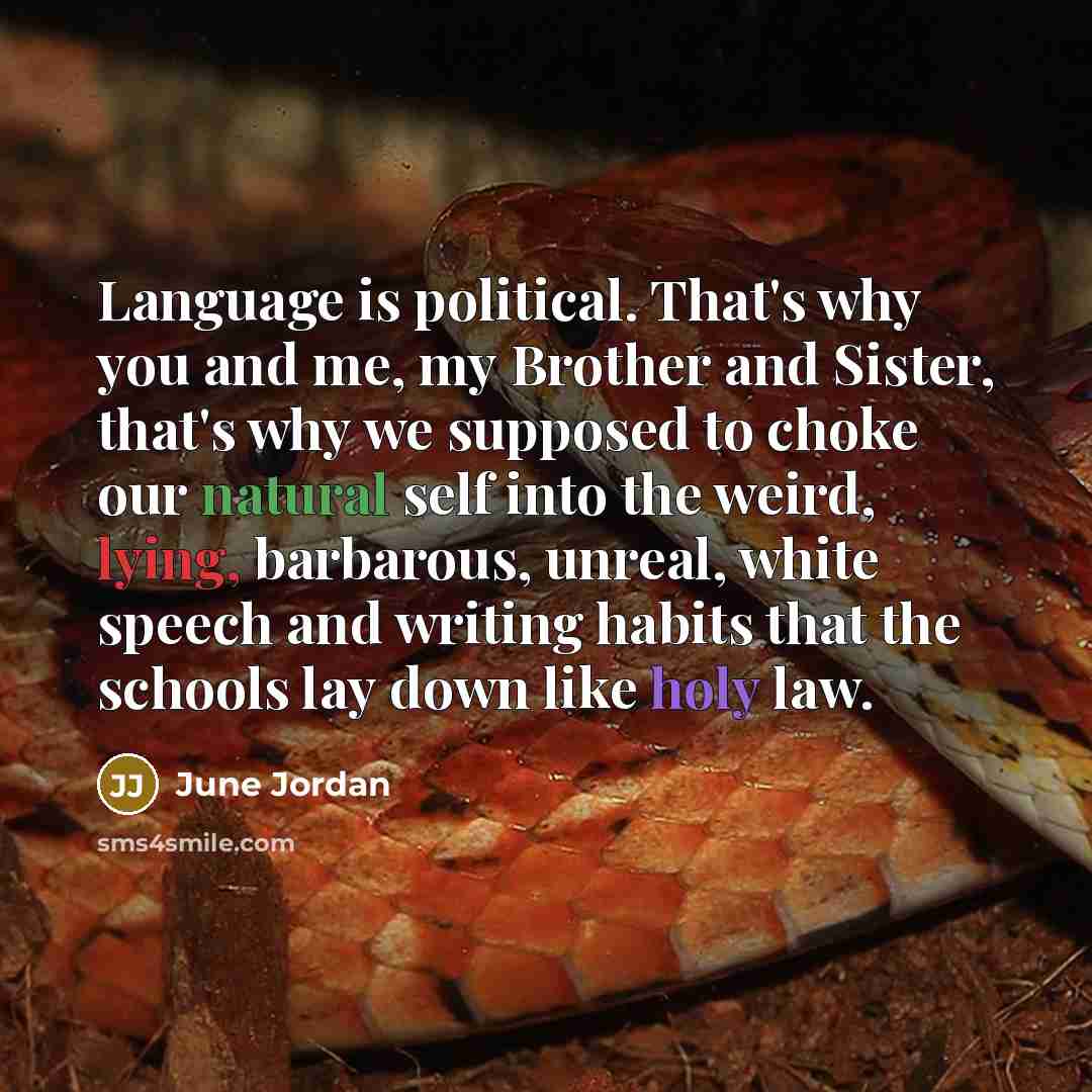“Language is political. That's why you and me, my Brother…” quote by June Jordan