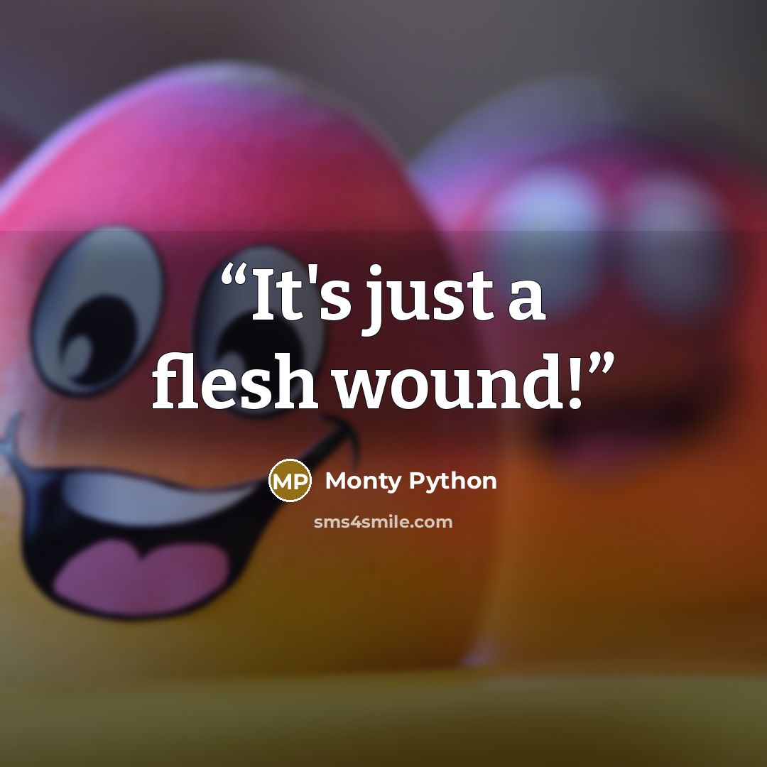 “It's just a flesh wound!” quote by Monty Python