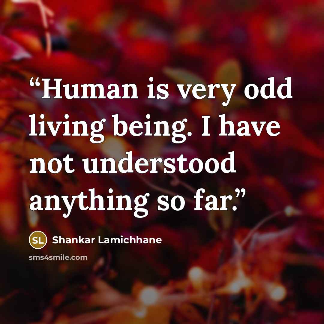 “Human is very odd living being. I have not understood anything so far.” quote by Shankar Lamichhane