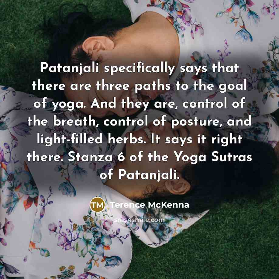 “Patanjali specifically says that there are three paths to the…” quote by Terence McKenna