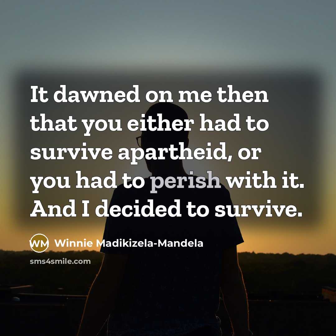 “It dawned on me then that you either had to…” quote by Winnie Madikizela-Mandela