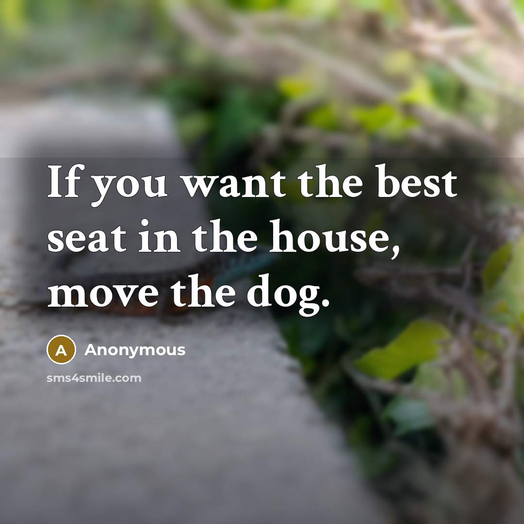 “If you want the best seat in the house, move the dog.” quote by Anonymous