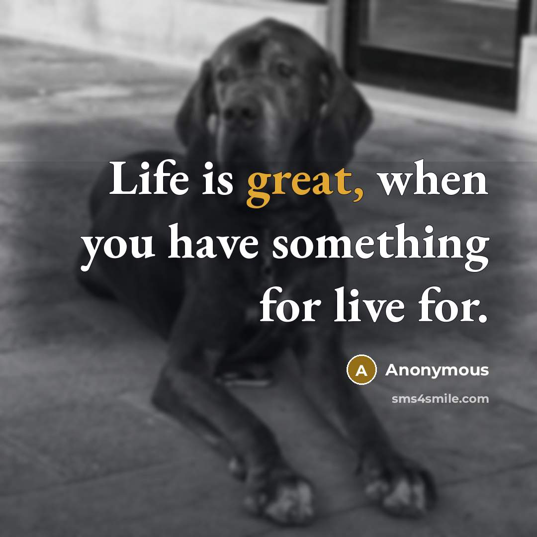 “Life is great, when you have something for live for.” quote by Anonymous