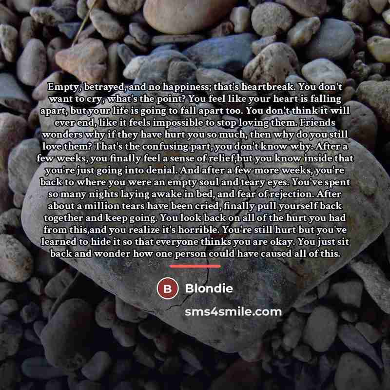 “Empty, betrayed, and no happiness; that's heartbreak. You don't want…” quote by Blondie