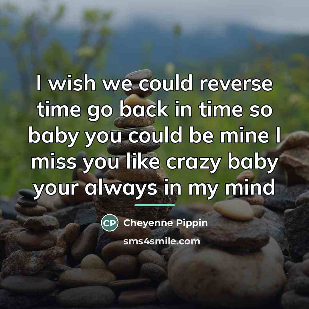 “I wish we could reverse time go back in time…” quote by Cheyenne Pippin