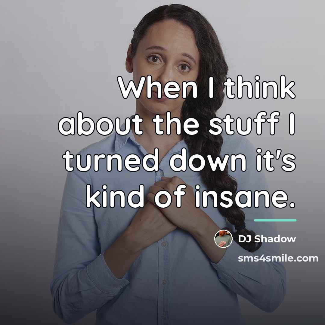 “When I think about the stuff I turned down it's…” quote by DJ Shadow