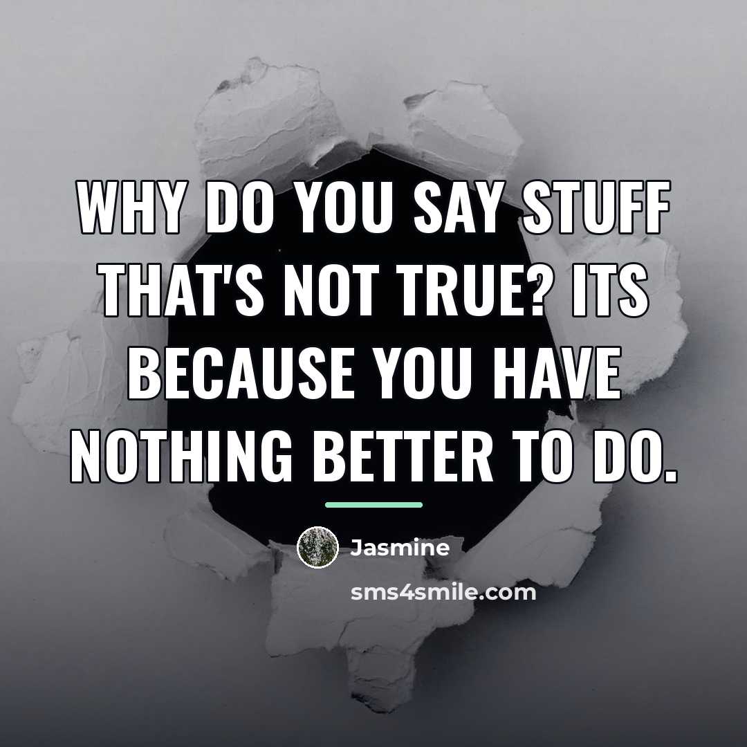 “Why do you say stuff that's not true? its because…” quote by Jasmine