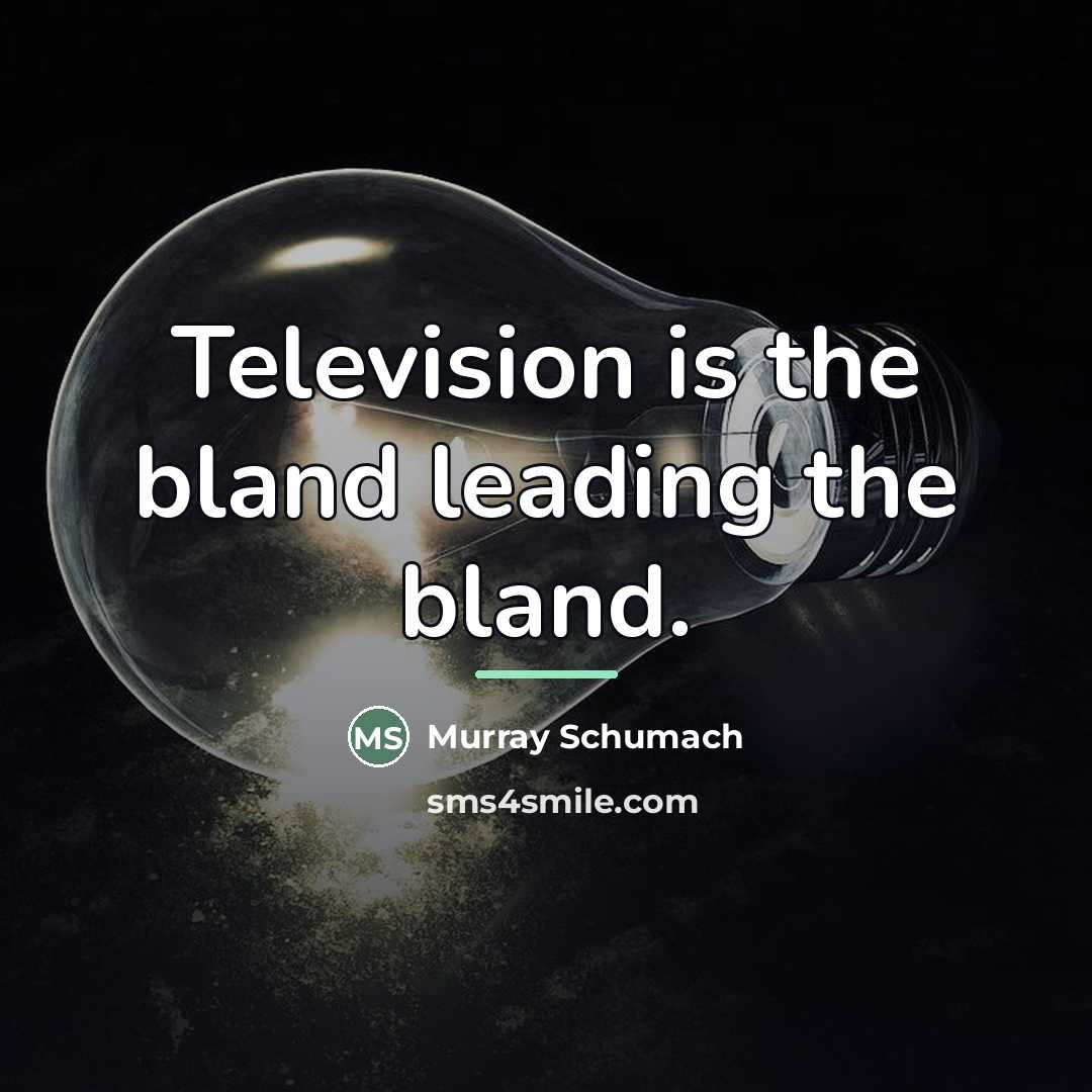 “Television is the bland leading the bland.…” quote by Murray Schumach
