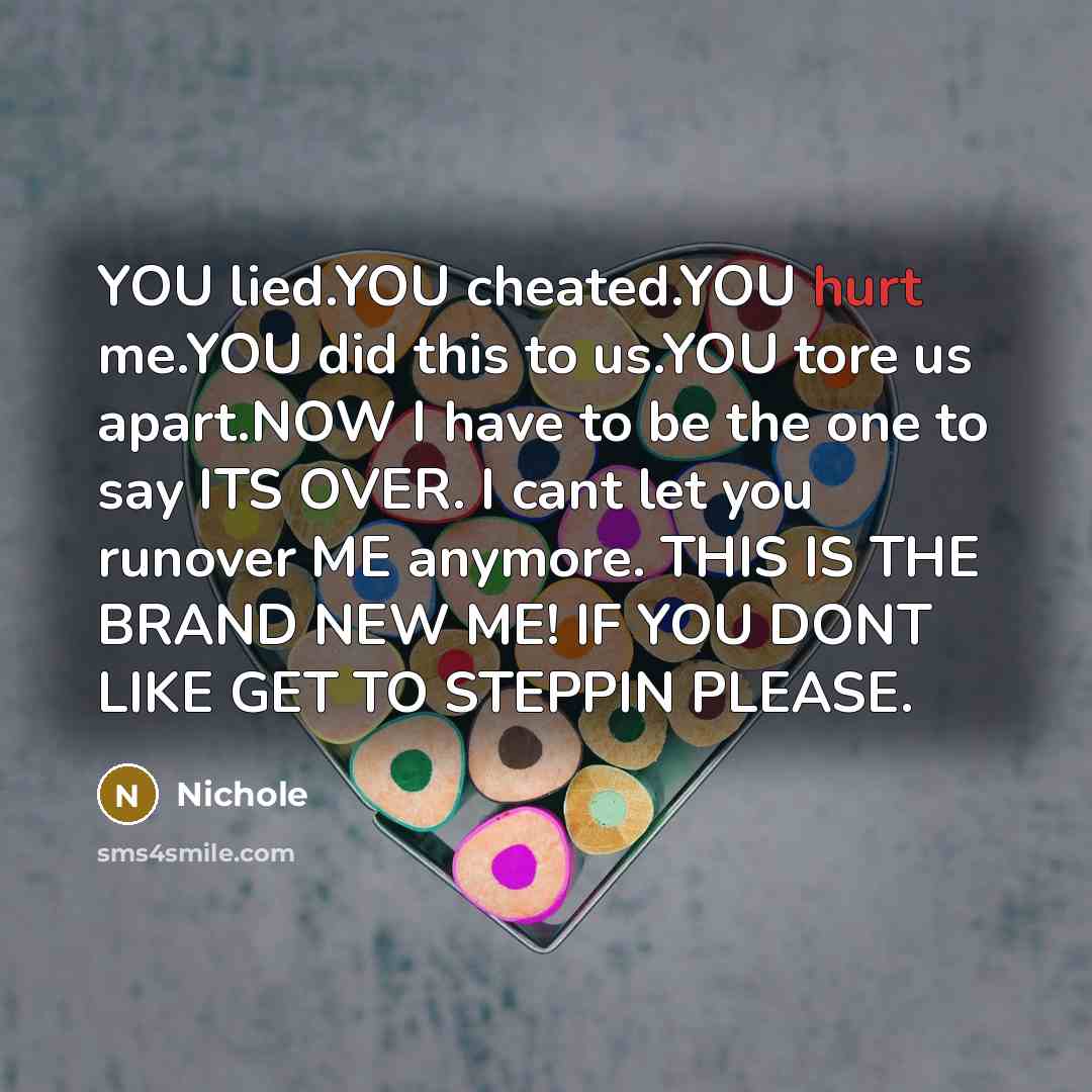 “YOU lied.YOU cheated.YOU hurt me.YOU did this to us.YOU tore…” quote by Nichole