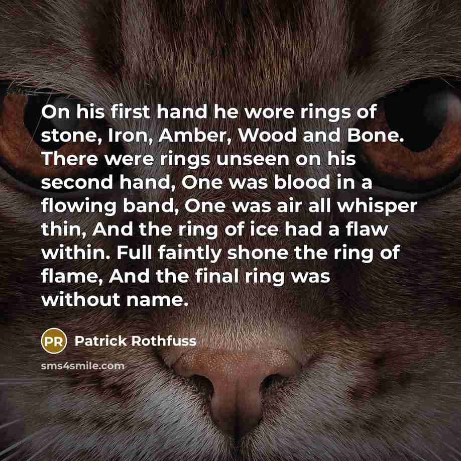 “On his first hand he wore rings of stone, Iron,…” quote by Patrick Rothfuss